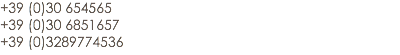 +39 (0)30 654565
+39 (0)30 6851657
+39 (0)3289774536